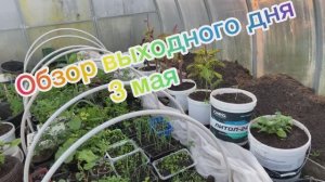 Обзор выходного дня 03.05.26