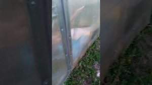 видео как я показал мою дачу