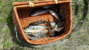Мормышинг Отрыв по окуню Щука бонусом Силикон для мормышинга