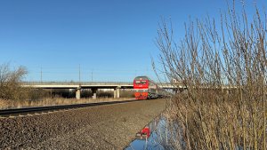 «Мимо вербы» Тепловоз ТЭП70БС-301 с пасс.поездом на перегоне в Рыбинске, 2026 год