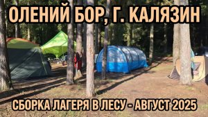 Олений бор, г.Калязин - сборка лагеря в лесу - август 2025 г.