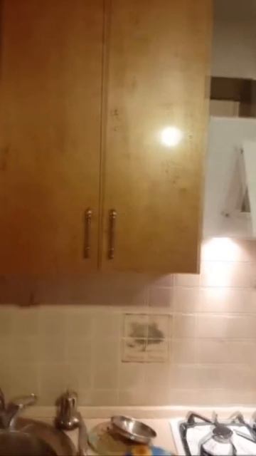 История одной букашки... Часть 1 | #youtube #shorts #shorts #stream