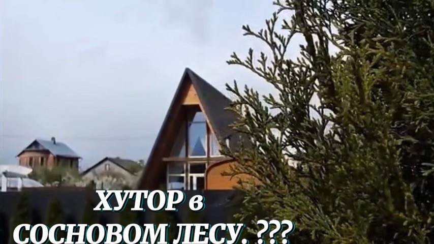 Бройлеры УДИВИЛИ быстрым набором массы! ХУТОР в СОСНОВОМ ЛЕСУ станет нашей деревней? Планы на него..