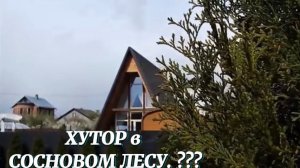 Бройлеры УДИВИЛИ быстрым набором массы! ХУТОР в СОСНОВОМ ЛЕСУ станет нашей деревней? Планы на него..