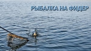 Рыбалка 2026. Открыл фидерный сезон.