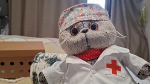 КОТ БАСИК. Дела медицинские.