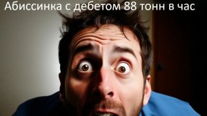 Абиссинская скважина с дебетом 88 тонн