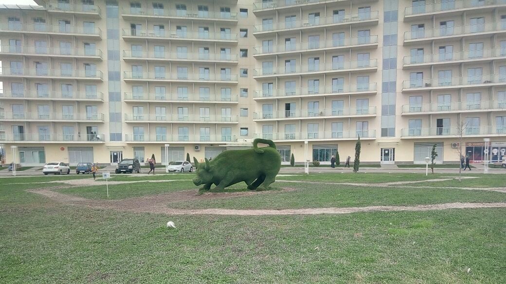 1 день знакомство с территорией и окрестности