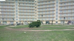 1 день знакомство с территорией и окрестности