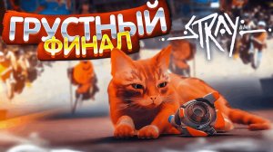 Прощай друг Stray прохождение