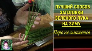 Как заморозить перо зеленого лука на зиму Делаю в Мае – и оно не слипается
