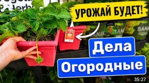 США Влог Урожаю быть