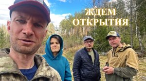 Прогулка по лесу во Владимирской области в мае 2026