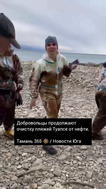 Добровольцы продолжают очистку пляжей Туапсе от нефти / Тамань 365 🔆 / Новости Юга России