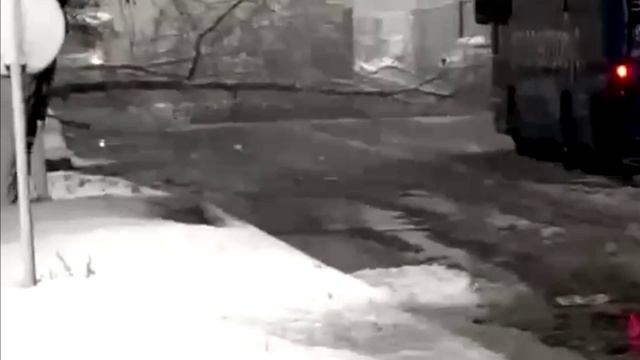 Апрельский снегопад свалил деревья в Москве 1 камера