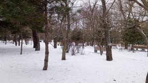 Заснеженная городская улица