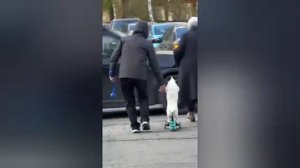 Шариков вернулся?

В Петербурге заметили собаку на самокате. Она ехала без посторонней помощи.

😂 —