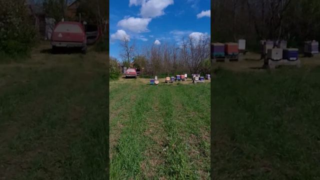 Обзор матковыводного точка