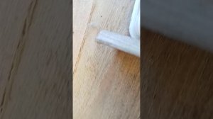 влог на весеннюю избушку 1
