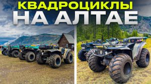 Квадрациклы на Алтае,Алтай,Алтай катание на квадрациклах,обзор больших квадрациклов на Алтае