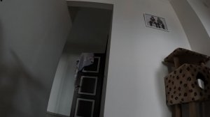 030526 День сурка
