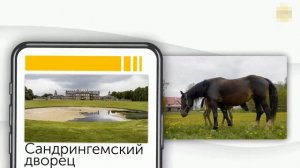 Старый корабль, найденный в Англии, объясняет историческую трагедию.