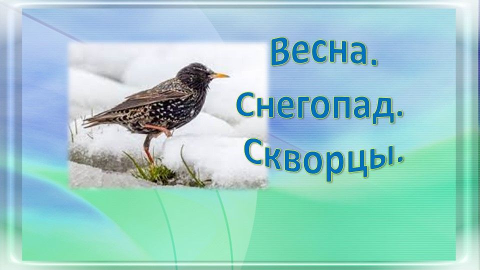 Весна. Снегопад. Скворцы.