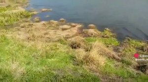 речка