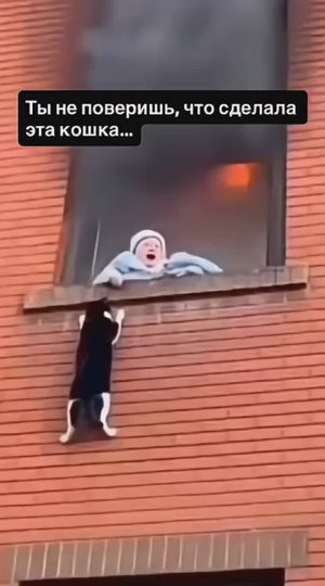 Mushukka qoyil qolmay iloj yuq #nature #audio #bride #garden #construction #сваты6 #fyy
