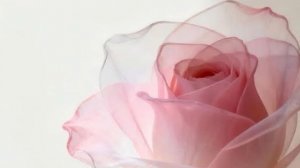 События  Мая...🌷