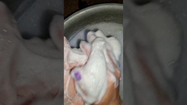 1199.mp4