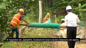 12ч.После шторма: добрый генеральный директор помогает матери-одиночке отремонтировать сад