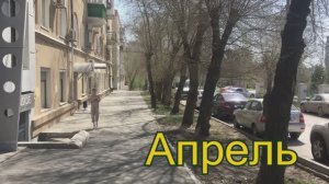 Апрель #Волгоград  #Центральный_район