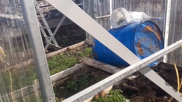 Продолжаем работать в огороде. Отдам в добрые руки 🤲 .