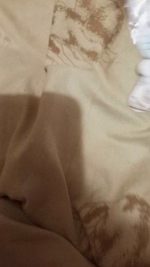 Оцените Эту Бумажную Кошку