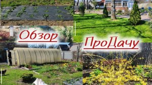 Обзор дачи!