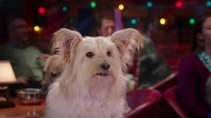 Pup Star_ Better 2Gether I Got This Music Video