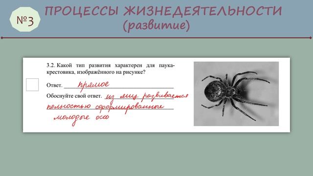 ВПР биология 8 класс Часть1_№3