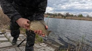КАРАСЬ КЛЮЕТ ОДИН ЗА ОДНИМ🐟🐟🐟🐟