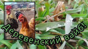 Деревня: место, где отдыхает душа. Дождь за окном.Спокойствие. Птицы. Природа.