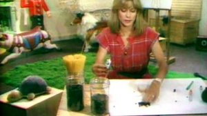 Récré A2 du jeudi 10 août 1978