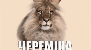 я сделала молелькууууу :__