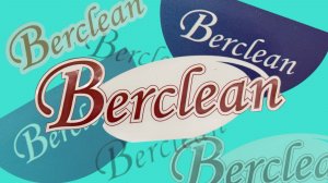«Berclean: Революция чистоты. Как убирать дом в 3 раза быстрее и без вреда для здоровья?»