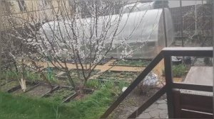 5_26 Дела Дворовые