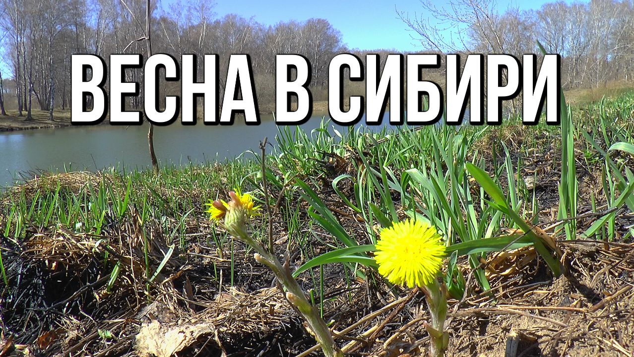Весна в Сибири