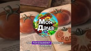 садоводы хотите выращивать заходите «наша дача»