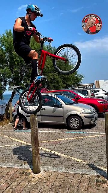 Спорт