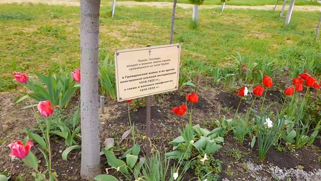 Цветы. Одышка. Раздумья на аллее героев. 03.05.2026 смотреть онлайн
