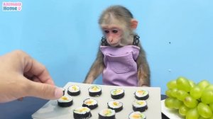 BiBi obedient helps dad make sushi