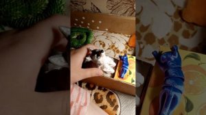 1000001591.mp4
